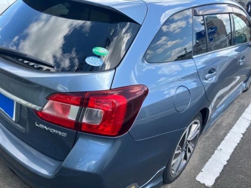 LEVORG