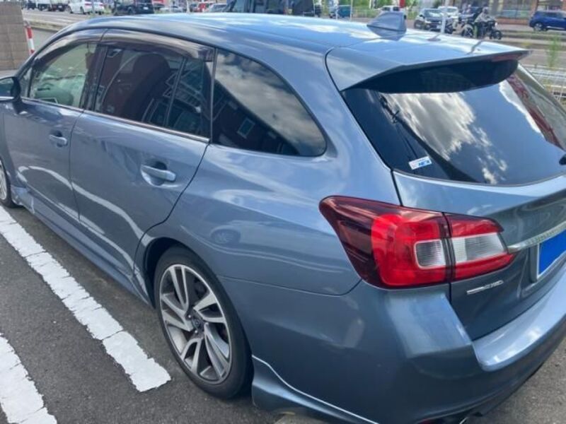 LEVORG