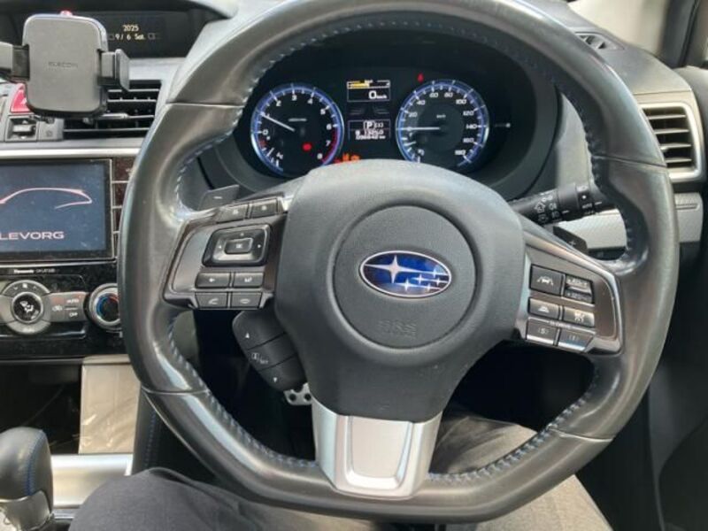 LEVORG