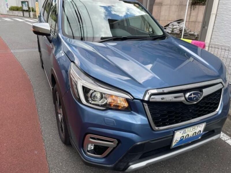 FORESTER