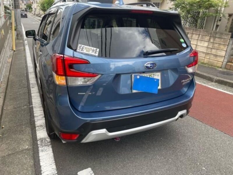 FORESTER