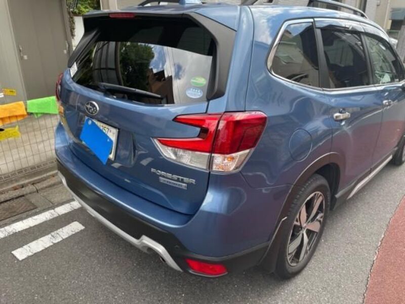 FORESTER