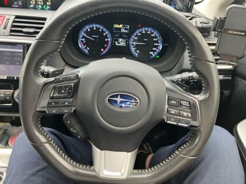 LEVORG