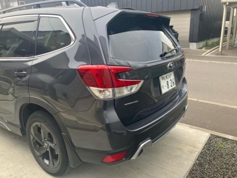 FORESTER