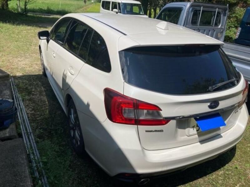 LEVORG