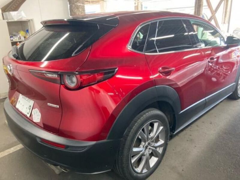 CX-30
