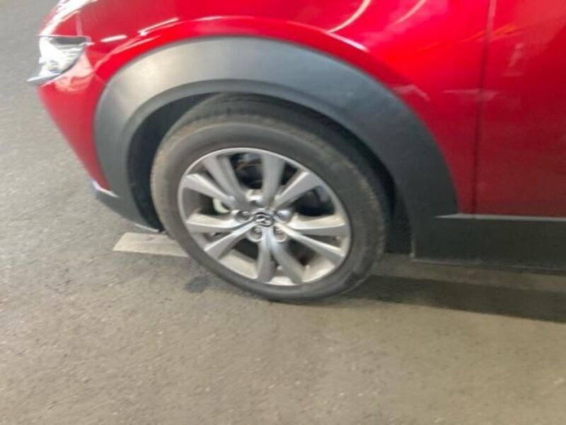 CX-30