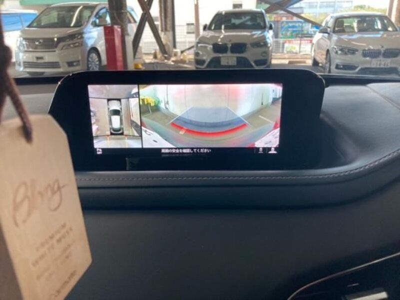 CX-30