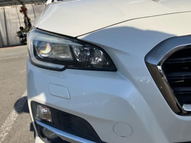 LEVORG