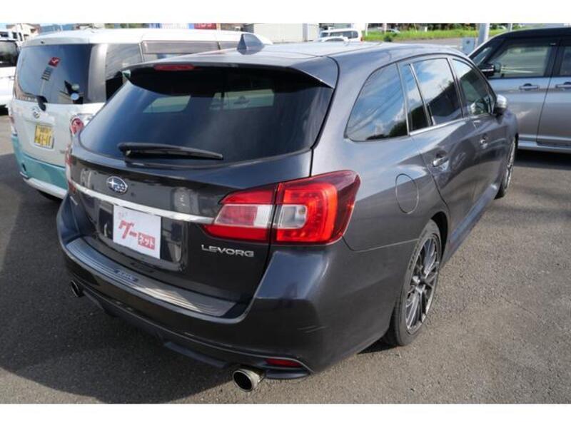 LEVORG