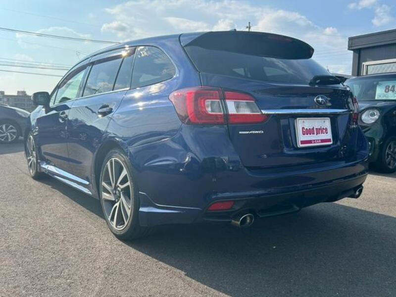 LEVORG