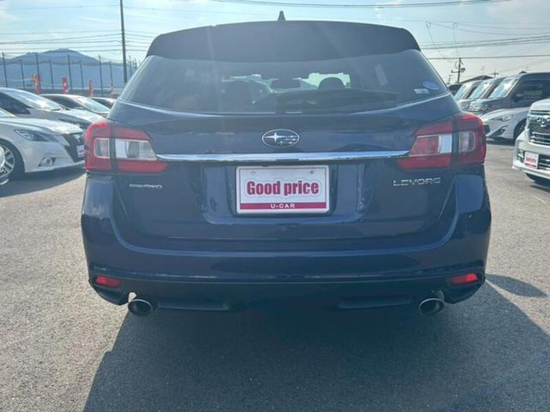 LEVORG
