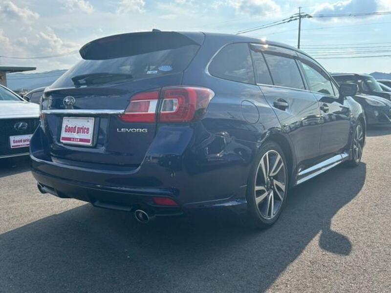 LEVORG