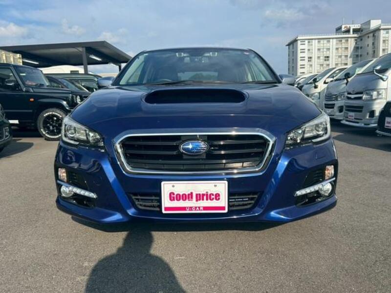 LEVORG