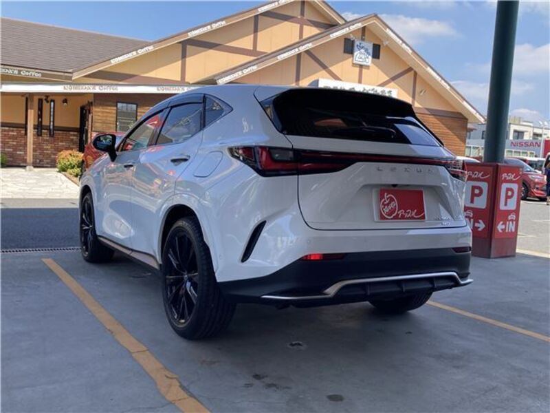 NX