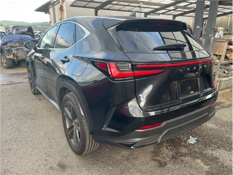 NX