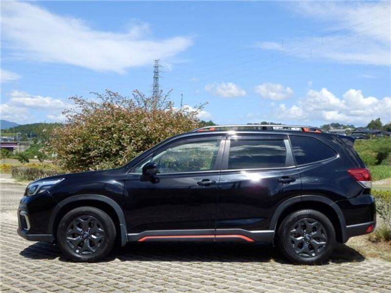 FORESTER