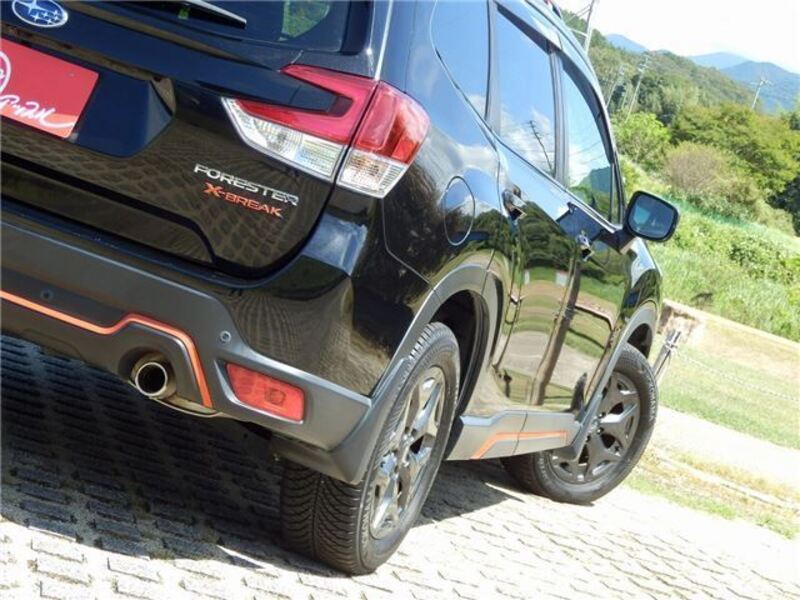 FORESTER