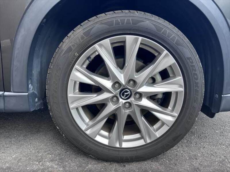CX-8