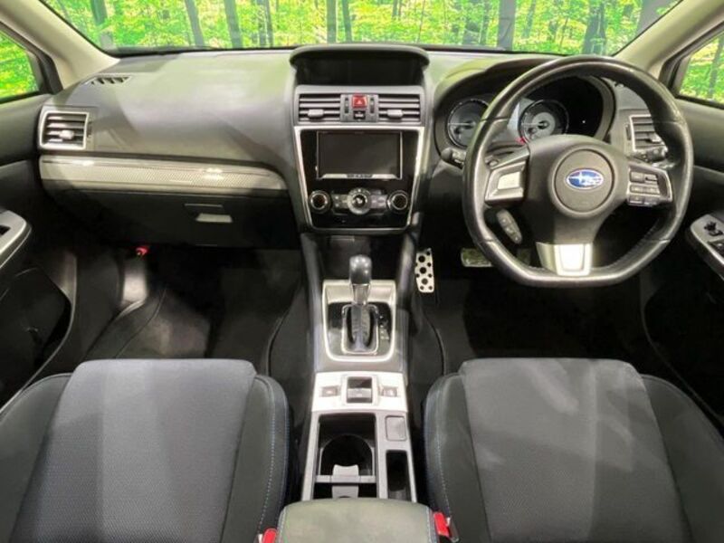 LEVORG