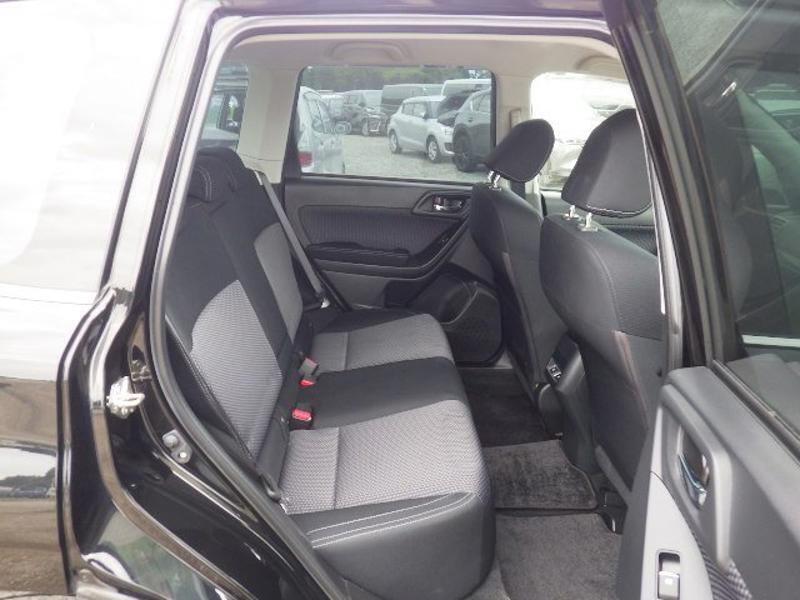FORESTER