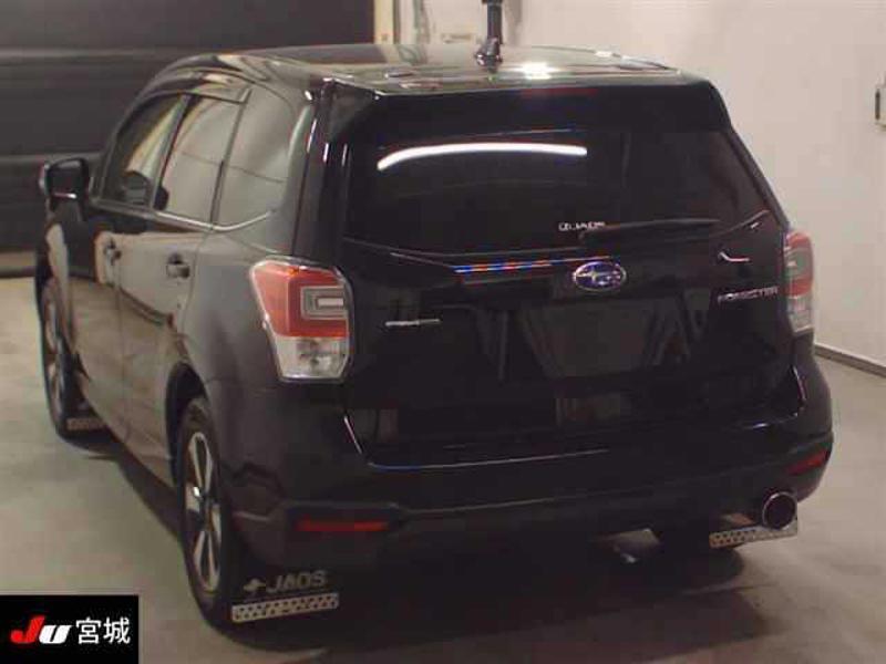 FORESTER