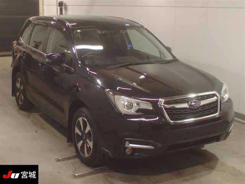 FORESTER
