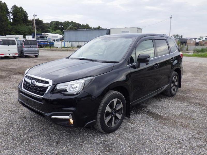 FORESTER