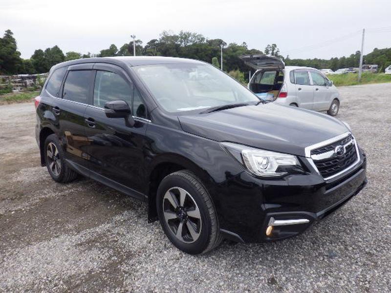 FORESTER-0