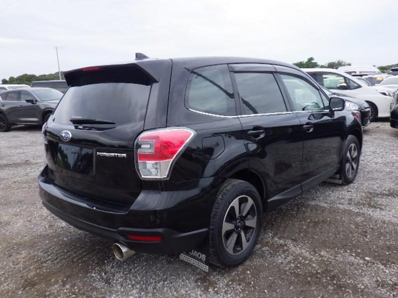 FORESTER