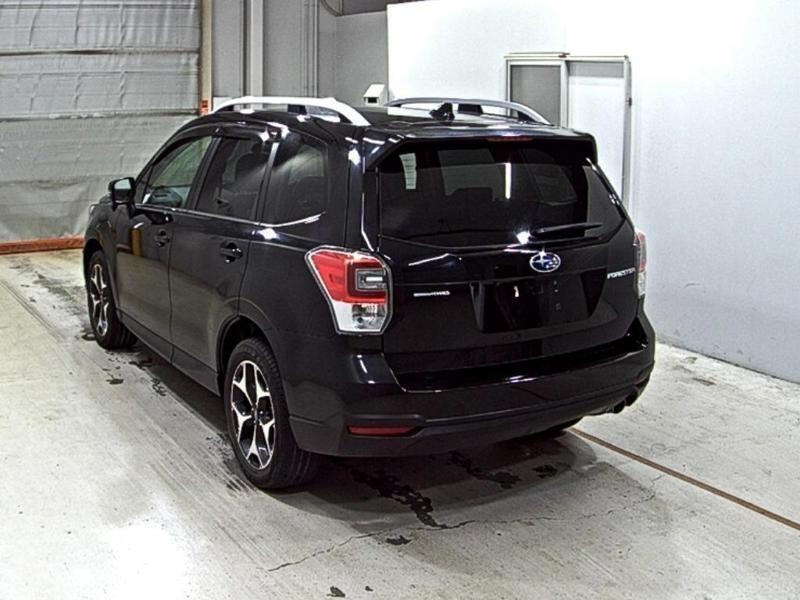 FORESTER