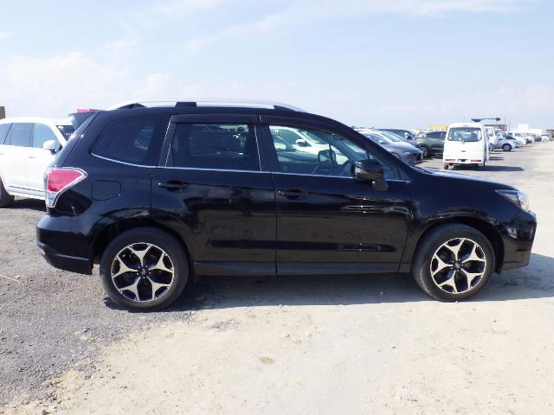 FORESTER