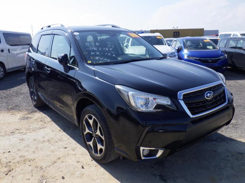 FORESTER-0