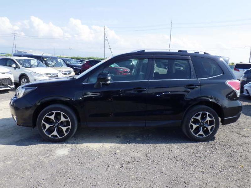 FORESTER