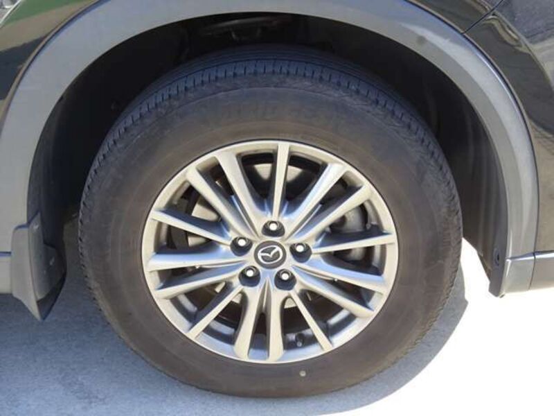 CX-8
