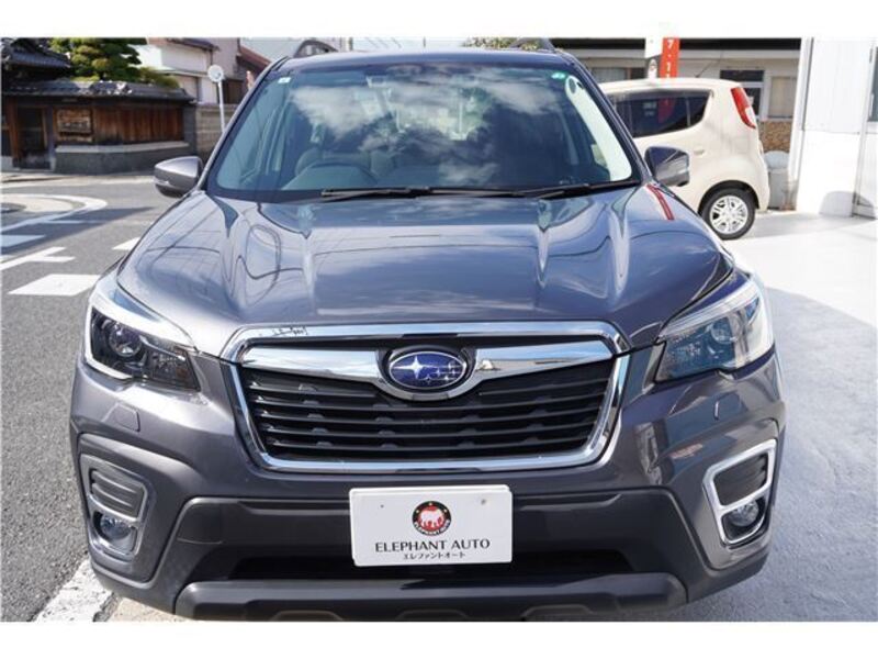 FORESTER