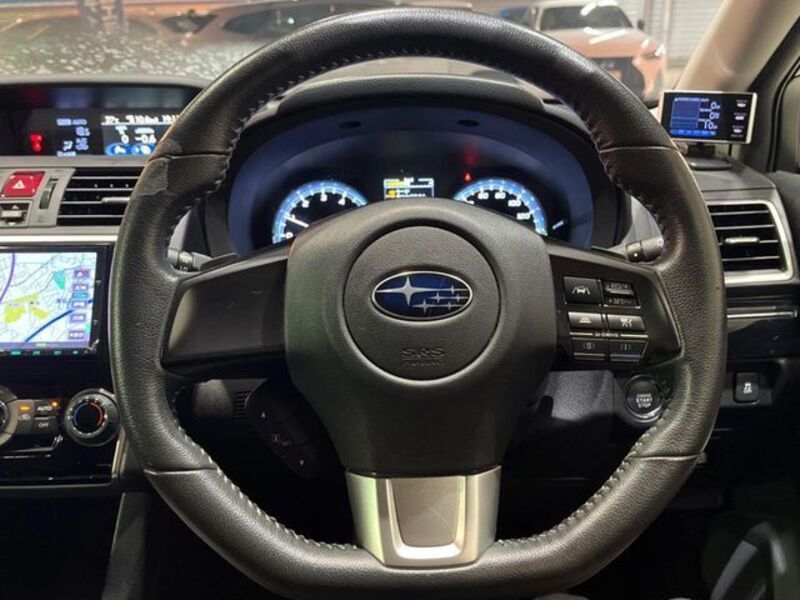 LEVORG