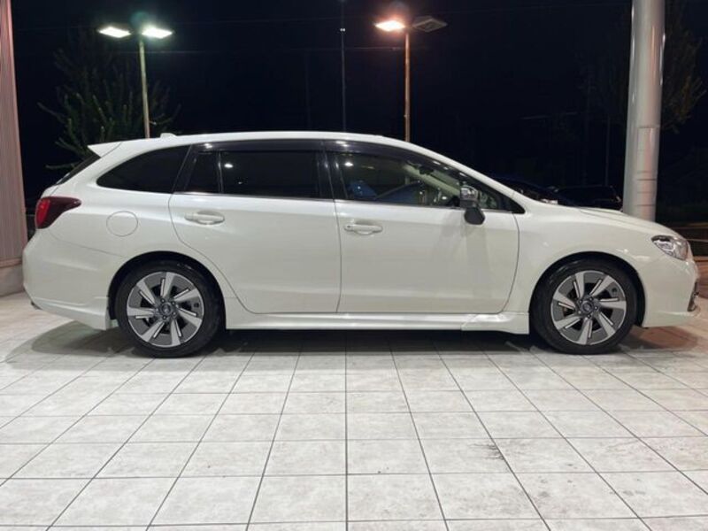 LEVORG