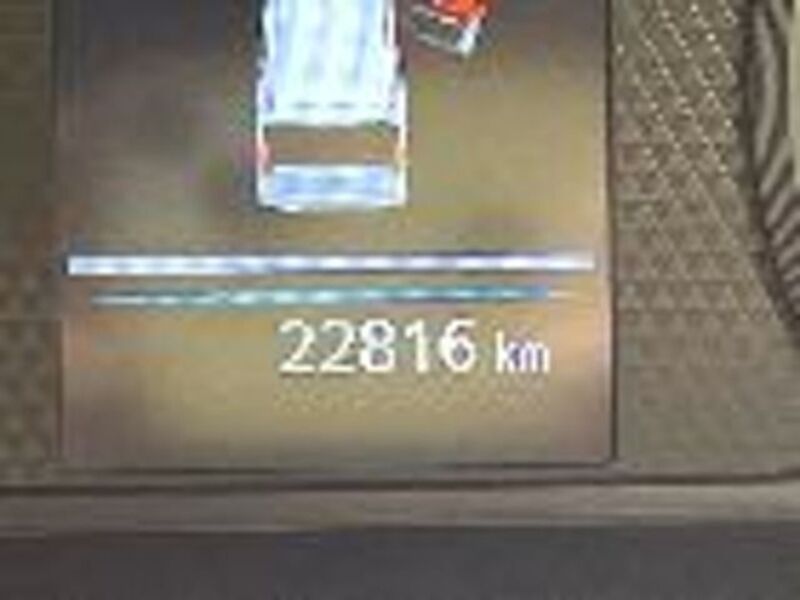DAYZ