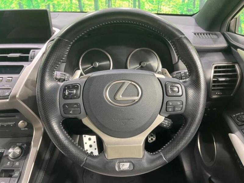 NX