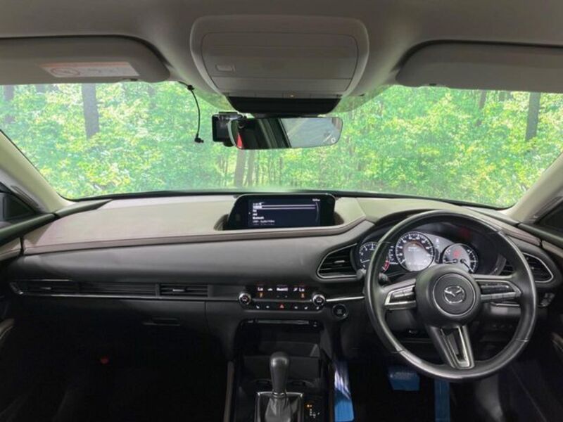 CX-30