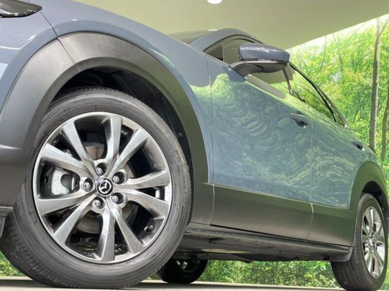 CX-30