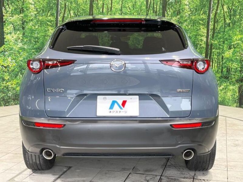CX-30
