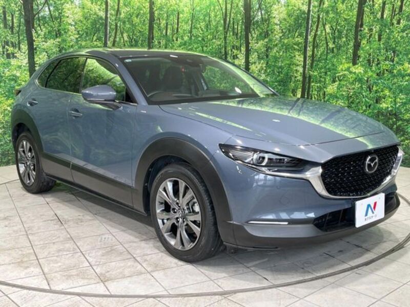 CX-30