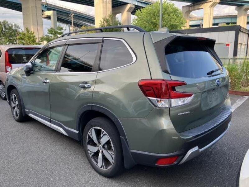 FORESTER