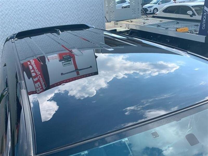 HILUX SURF
