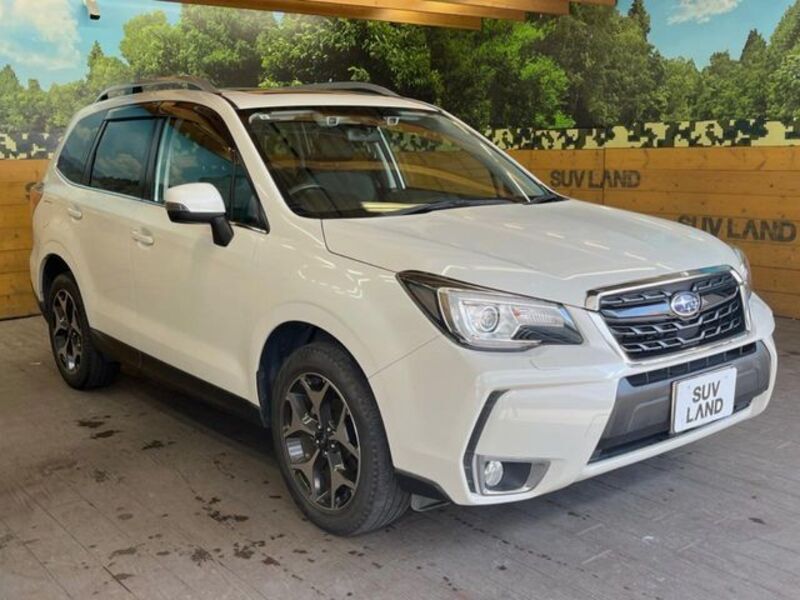 FORESTER