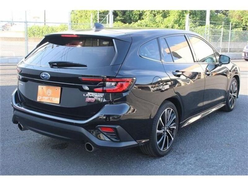 LEVORG