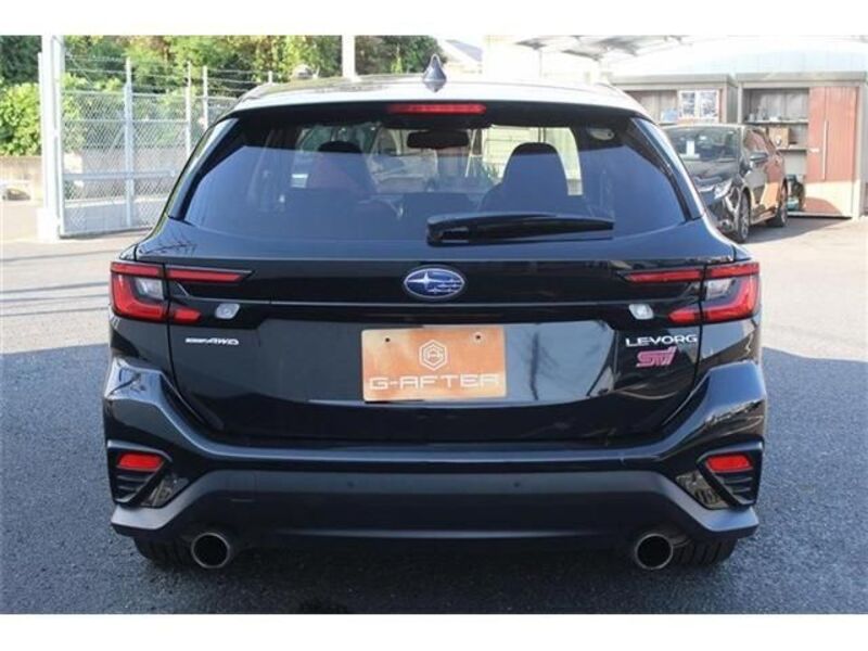 LEVORG