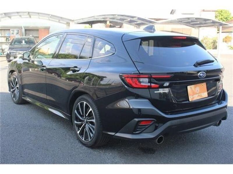 LEVORG